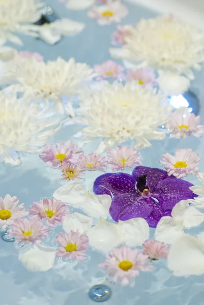 Spa bloemen op water in spa kamer — Stockfoto