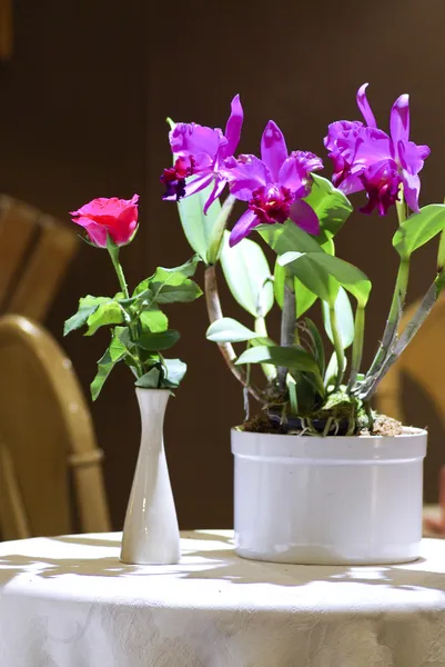 Rosa e Orquídea em vaso branco — Fotografia de Stock