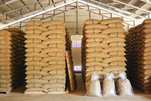 Almacén de granos de café — Foto de Stock