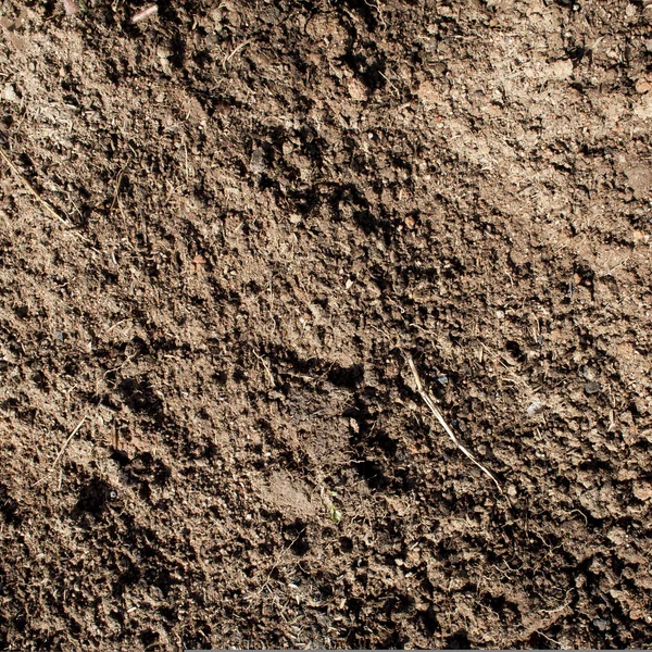 Soil background — Stock Photo, Image