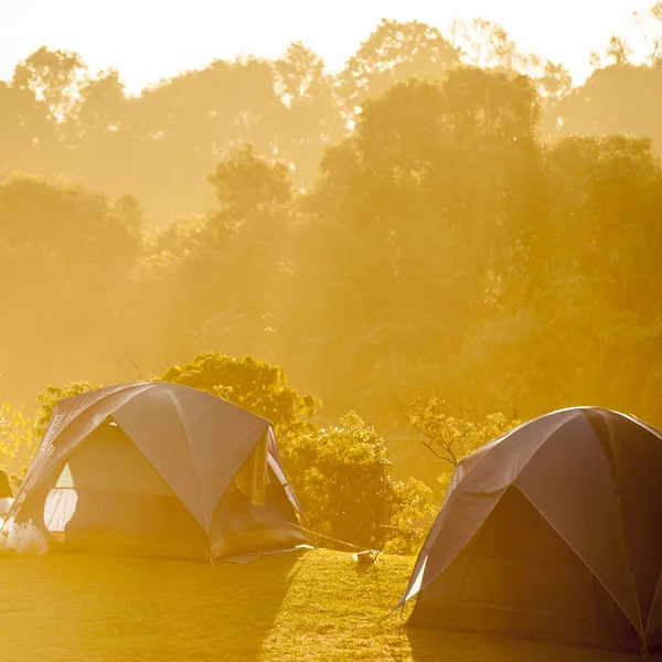 Tendas de acampamento na manhã de montanha — Fotografia de Stock