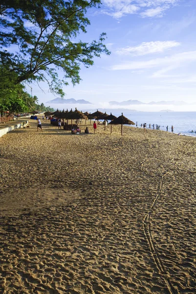 ビーチのシーンは、熱帯地方、朝の太平洋 — ストック写真