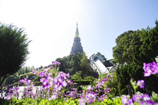 Stupa em Doi Inthanon. Chiang Mai, Tailândia — Fotografia de Stock