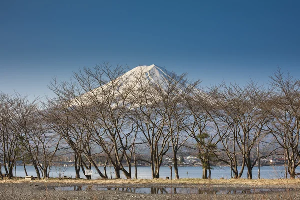 美しい富士山と湖を日本します。 — ストック写真