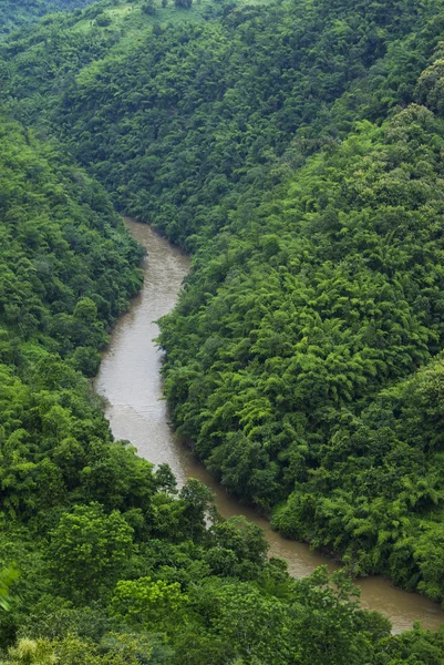 Kromme rivier in woud berg — Stockfoto