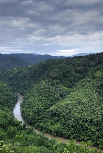 Curve river in forest mountain — Stock Photo, Image