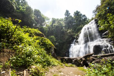 Water fall in spring season located in deep rain forest jungle.