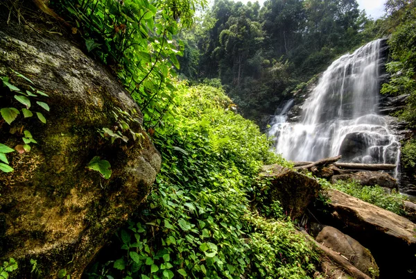 Air jatuh di musim semi yang terletak di hutan hujan dalam hutan . — Stok Foto