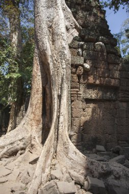 ta phrom. Siem reap. Kamboçya