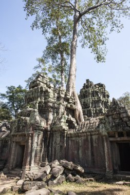 ta phrom. Siem reap. Kamboçya