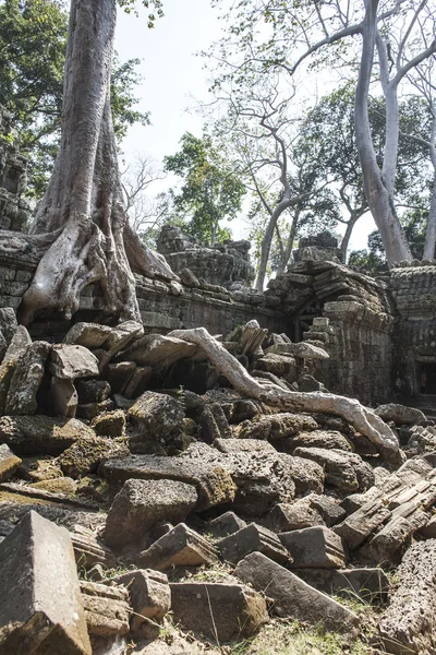 Ta phrom。暹粒。柬埔寨 — 图库照片