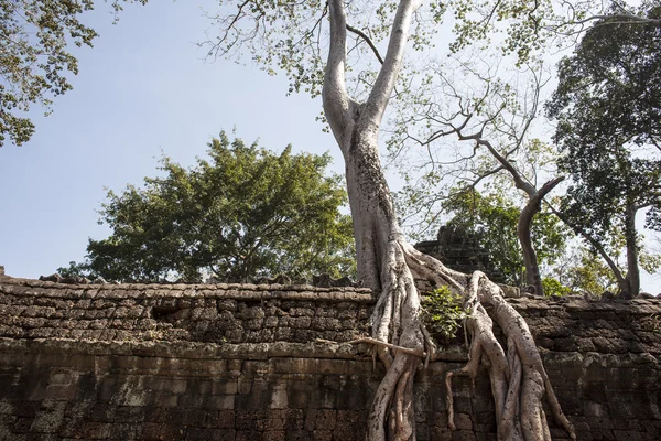 Ta phrom。暹粒。柬埔寨 — 图库照片