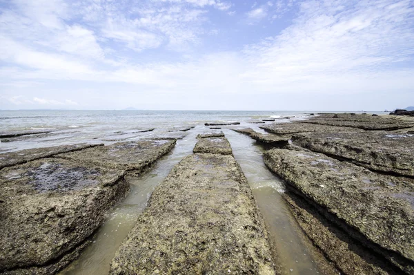 クラビ、タイ貝化石海と — ストック写真