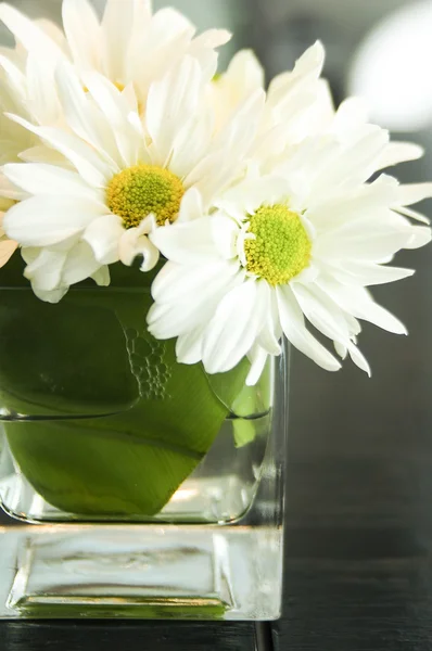 Küçük vazo üzerindeki beyaz çiçekler — Stok fotoğraf
