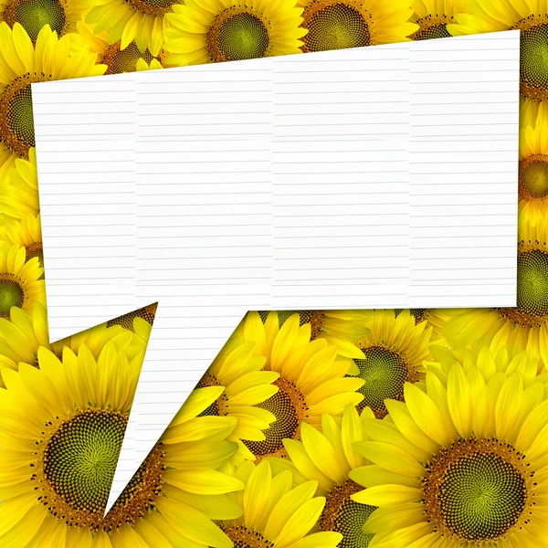 Mooie gele zonnebloem bloemblaadjes close-up achtergrond met citaat — Stockfoto