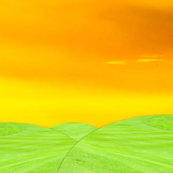 Groen gras met twilight sky — Stockfoto