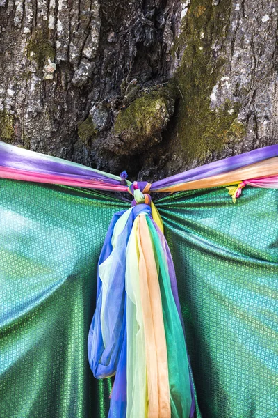 Faith tree with holy fabric — Stock Photo, Image