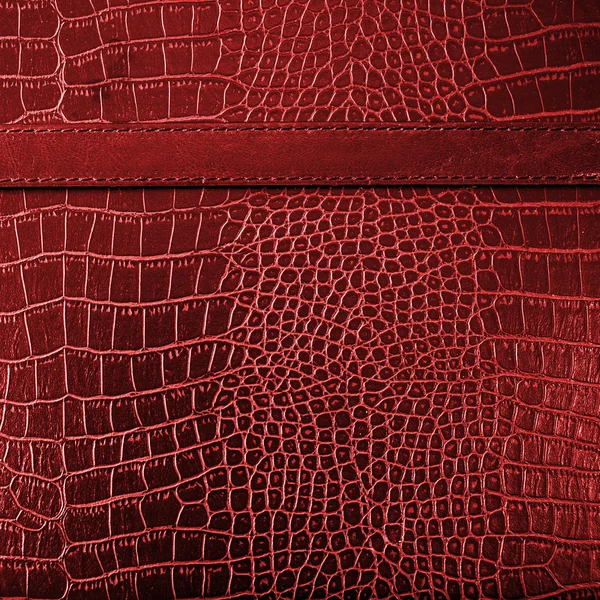 Red crocodile leather texture background — Stock Photo, Image