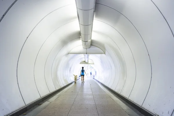 成功のビジネスに行く道のトンネル — ストック写真