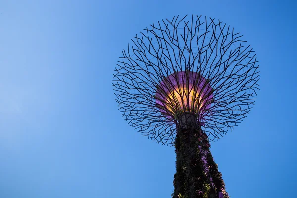 Singapore Garden dekat teluk di langit senja — Stok Foto