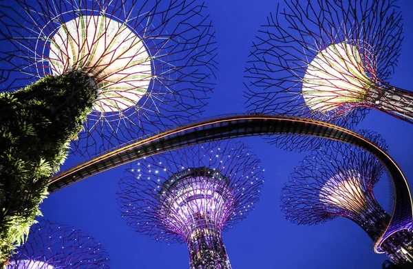 Singapore Garden ved bugten på tusmørke himlen - Stock-foto