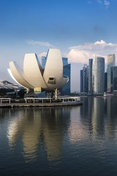 Point de vue du Musée des sciences de Singapour — Photo