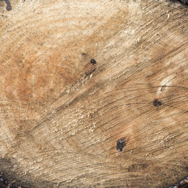 Фон текстури дерев'яної поверхні — стокове фото