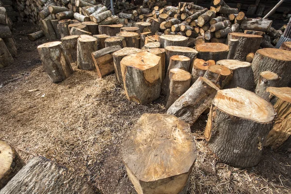 Wood log — Stock Photo, Image