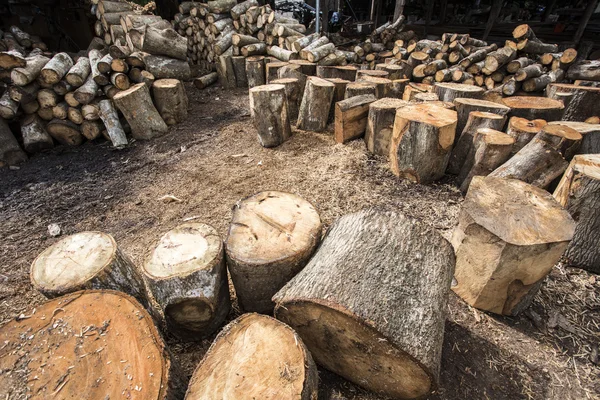 Wood log — Stock Photo, Image