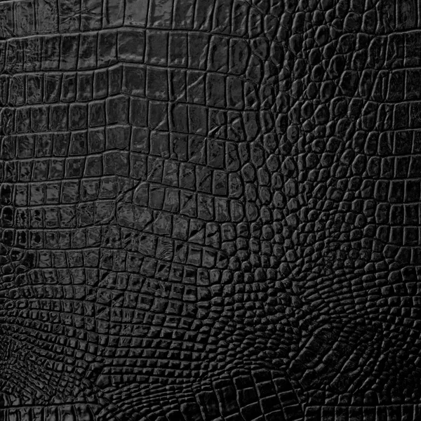 Black Leather background texture — Stock Photo, Image