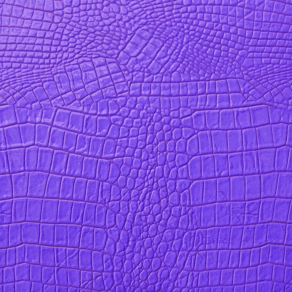 Purple Leather — Stock Photo, Image