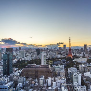 Tokyo üstten görünüm günbatımı. Japonya