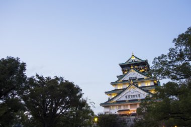 Osaka Kalesi. Japonya