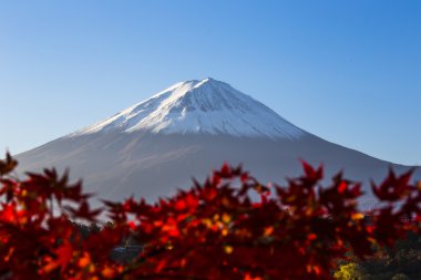 Mount Fuji with red autumn leaf. Japan clipart
