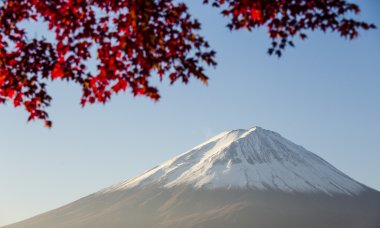 Kırmızı sonbahar yaprak fuji Dağı. Japonya