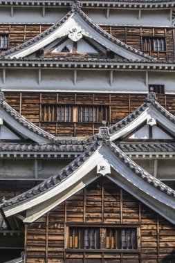 Hiroşima castle. Japonya