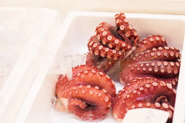 Octopus vender no mercado de Tsukiji Japão — Fotografia de Stock