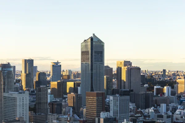 Tokyo vista sul tramonto dello spazio urbano — Foto Stock