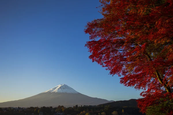 富士山与红色的秋叶。日本 — 图库照片