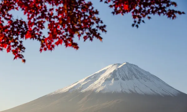 Mount fuji med röda hösten blad. Japan — Stockfoto