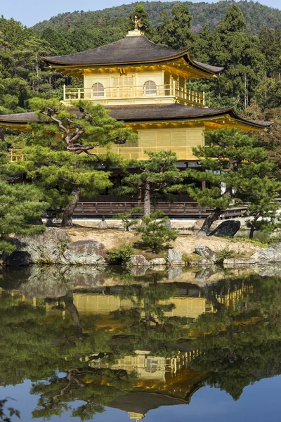 Золотой павильон Кинкакудзи. Киото. Япония — стоковое фото