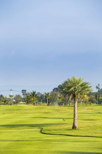 Golf groene veld tuin met bomen — Stockfoto