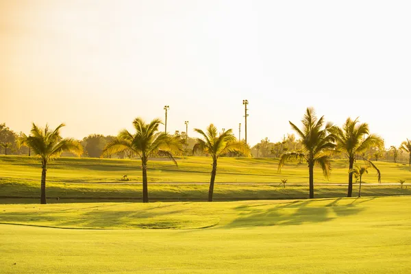 Campo verde de golfe jardim com árvores — Fotografia de Stock