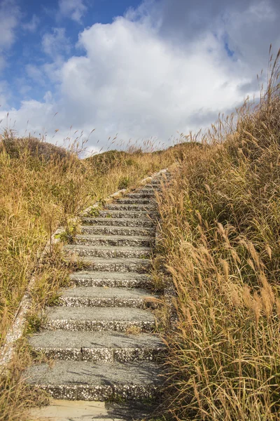 Stairway — Stock Photo, Image