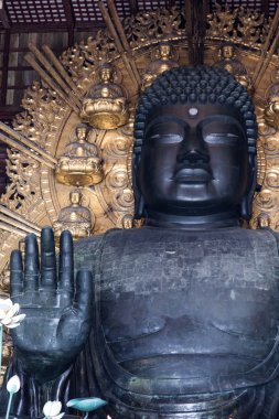 Big buddha todai-ji Tapınağı. Nara. Japonya