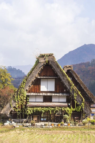 在小村庄行长白川方明去日本的小屋和大米字段。autu — 图库照片