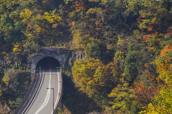 Tunel cesta do shirawaka-go. Japonsko — Stock fotografie