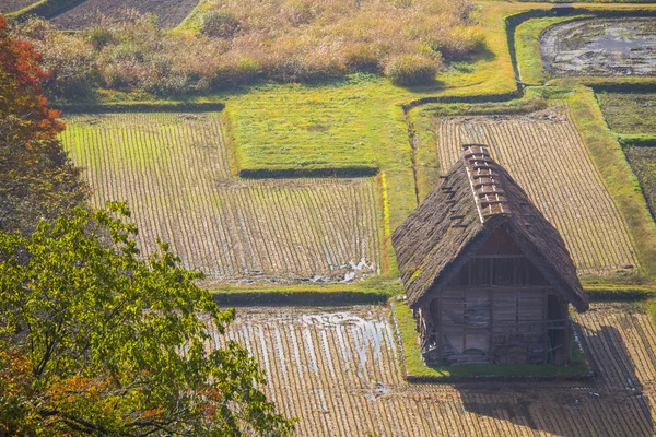 Casa de campo y campo de arroz en el pequeño pueblo shirakawa-go japón. autu —  Fotos de Stock