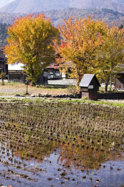 Casa de campo y campo de arroz en el pequeño pueblo shirakawa-go japón. autu —  Fotos de Stock