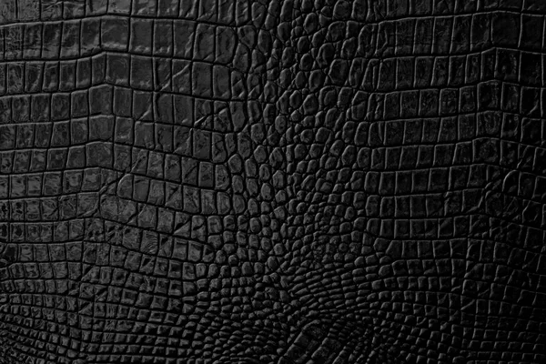 Fond et texture en cuir noir — Photo